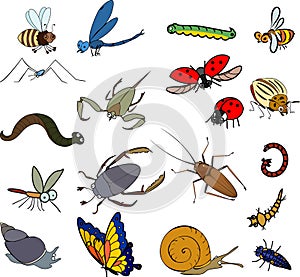 Set of cartoon invertebrate animals insects, worms and molluscs isolated on white photo